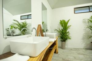 ein Badezimmer mit einem großen weißen Waschbecken und Pflanzen in der Unterkunft Anthurium house in Fortuna