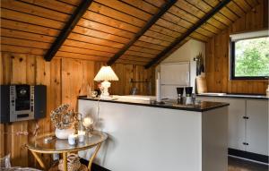 Η κουζίνα ή μικρή κουζίνα στο Nice Home In Skjern With Kitchen