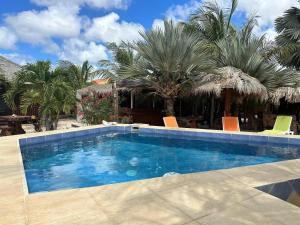 a swimming pool with chairs and palm trees at Studio - begane grond - poolside in Kralendijk