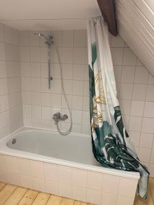 a bath tub with a shower curtain in a bathroom at Hideaway im Odenwald nahe Heidelberg in Eberbach