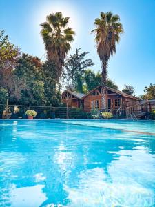 uma casa com palmeiras e uma piscina em Barros Wellness & Spa Resort Boutique em Calle Larga
