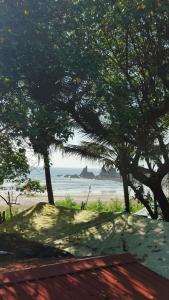 widok na plażę z drzewami i ocean w obiekcie 12 Monks Hostel w mieście Arambol