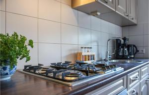 een keuken met een kookplaat en een oven bij Boerenzwaluw in Kamperveen