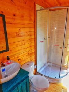 y baño con ducha, aseo y lavamanos. en Cabaña con vista a la laguna de Tota, en Tota