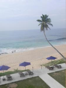 a beach with a palm tree and chairs and umbrellas at Amanda Beach Villas in Unawatuna