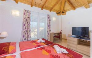 a bedroom with a bed with a television and a desk at Gorgeous Home In Rezanci With Jacuzzi in Režanci