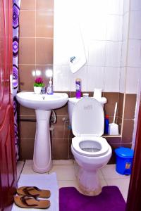 małą łazienkę z toaletą i umywalką w obiekcie Rozy Penthouse w mieście Kisumu