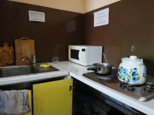 Il comprend une cuisine équipée d'un four micro-ondes et d'une cuisinière avec une cuisinière. dans l'établissement Fox Hostel, à Almaty