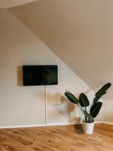 a plant in a room with a tv on a wall at Ein Nachbar des Unesco-Weltkulturerbes Zeche Zollverein! GE2R in Essen