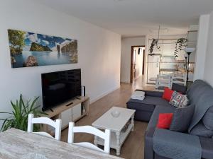 a living room with a couch and a tv at Apartamento Calvarios in Sanxenxo