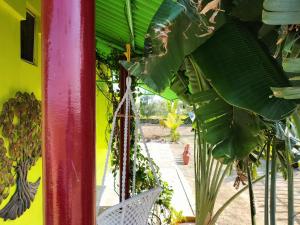 a red pole with a bunch of green plants at CoralbayFarms in Chengalpattu