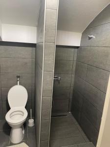 a bathroom with a toilet and a shower stall at Centrum Wellness Hostel in Debrecen +42 photos
