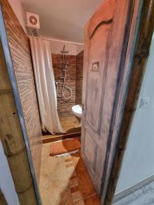 a bathroom with a shower and a wooden door at Centrum Wellness Hostel in Debrecen