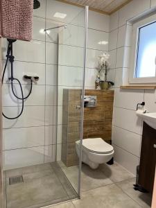 a bathroom with a shower with a toilet and a sink at Pod Gwiazdami in Władysławowo