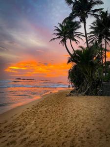 a beach with palm trees and the ocean at sunset at Chandi Gaya Beach Guesthouse in Tangalle