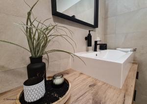 baño con lavabo blanco y maceta en St Antoni Suite2 Stilvolle Ferienwohnung mit Parkplatz in Eisenstadt, en Eisenstadt 6 fotos más