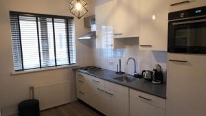 Cuisine ou kitchenette dans l'établissement 't Sand Apartment