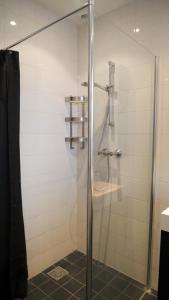 y baño con ducha y puerta de cristal. en 't Sand Apartment, en Zandvoort