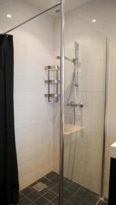 une douche avec une porte vitrée dans une salle de bain dans l'établissement 't Sand Apartment, à Zandvoort