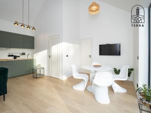 Kuchyň nebo kuchyňský kout v ubytování Terra House