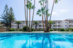 a swimming pool with palm trees in front of a building at Apartamento Vista Mar in Alcudia