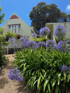 Hekerua Lodge Backpackers Hostel Waiheke Island في Oneroa: حديقة من الزهور الأرجوانية أمام المنزل