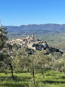 a village on top of a hill with trees at La Casetta in Trevi