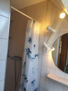 a bathroom with a shower curtain and a mirror at Hof Lindemann in Schneverdingen