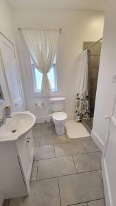 a bathroom with a toilet and a sink and a window at The Flower Pot in Lexington