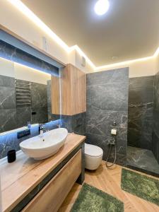 a bathroom with a sink and a toilet at RentHouse Apartments Neoclassic in Chişinău