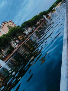 a view of a body of water with trees and buildings at Lupicante 56 Cesenatico in Cesenatico