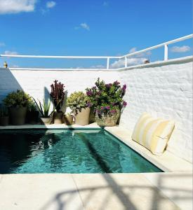 a swimming pool with potted plants on a wall at Hotel Tayko Sevilla in Seville