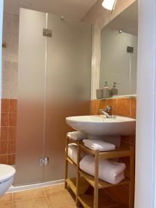 a bathroom with a sink and a shower at Apartamentos Ordesa Infinita in Asín de Broto