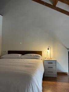 een slaapkamer met een wit bed en een nachtkastje met een lamp bij Apartamentos Ordesa Infinita in Asín de Broto