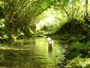 Gallery image of Casa Rural Garro in Guerricaiz