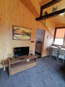 sala de estar con TV de pantalla plana en una pared de madera en Cozy attic studio en Brasov