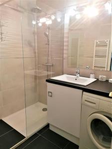 a bathroom with a shower and a sink and a toilet at Palais Royal, plages à pied, centre St Raphael in Saint-Raphaël +6 photos