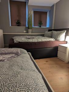 two beds in a room with two windows at Flensburg Zentrum 69 01 in Flensburg +16 photos