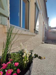 a flower bed in front of a building with flowers at L'intemporelle in Le Crotoy