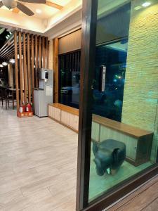 礁渓郷にある沐-湯宿溫泉行旅の店窓に豚像