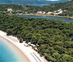 an aerial view of a beach with trees and water at Kaiti Studios 1 in Koukounaries