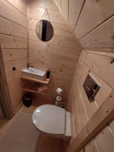 een kleine badkamer met een toilet en een wastafel bij Pod Grapą in Zubrzyca Górna