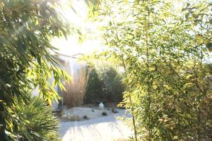 a view of a garden from behind some trees at Fleur de Ré in Loix