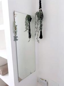 einen Spiegel im Bad mit einer Pflanze in der Unterkunft Xarraca in Bayahibe