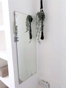 a mirror in a bathroom with a plant at Xarraca in Bayahibe +18 photos