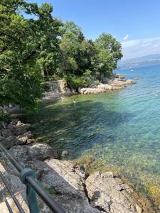 Príroda v okolí apartmánu