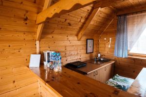 弗瓦迪斯瓦沃沃的住宿－Domki Bałtyckie，小木屋内的厨房,配有水槽