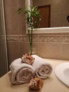 baño con toallas y jarrón con planta en Ocean View - Villa Baleal, en Baleal