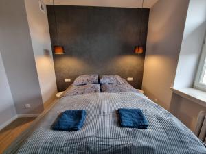 uma cama num quarto com duas almofadas azuis em Piękny apartament przy parku, blisko dworca, centrum Radom em Radom