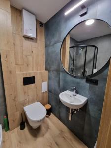 een badkamer met een toilet, een wastafel en een spiegel bij Piękny apartament przy parku, blisko dworca, centrum Radom in Radom